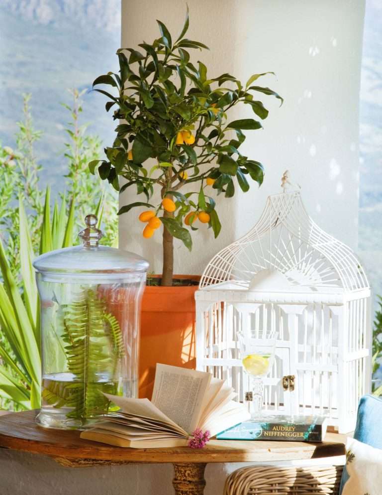 Plantas para el otoño