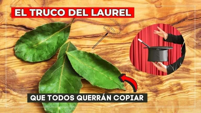 truco del laurel para el hogar