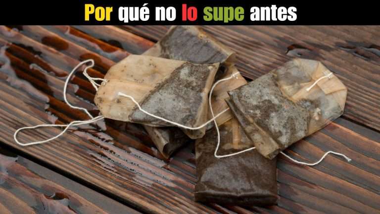 Nunca más tires las bolsitas de té